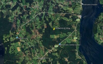Campo de 42 HA en Chiloé