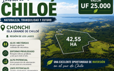 Campo de 42 HA en Chiloé